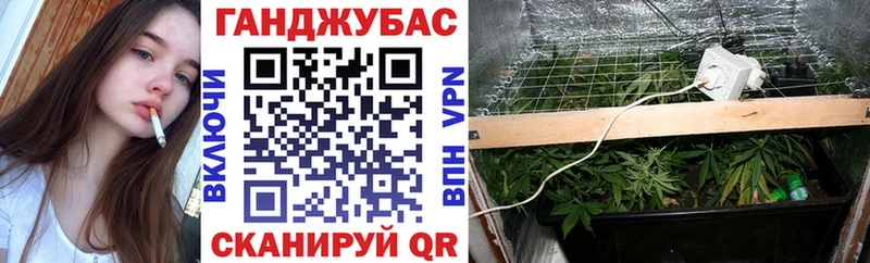 Марихуана ГИДРОПОН  Куса 